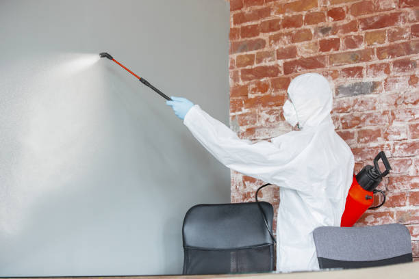 Best Forensic Mold Investigation  in Belleville, PA