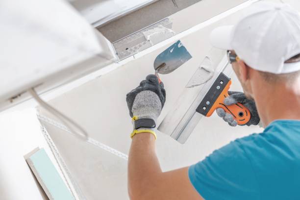 Trusted Belleville, PA Mold Removal Experts